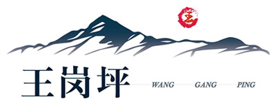 王岗坪
